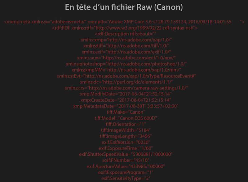 Head (en-tête d'un fichier Raw (Canon), sur le blog La Retouche photo.