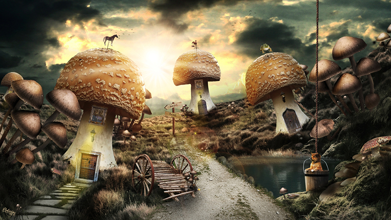 A mushroom tale par Lewis Moorhead "Flew Design" sur le blog La Retouche photo